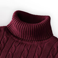 Men’s Solid Turtleneck Knit Sweater