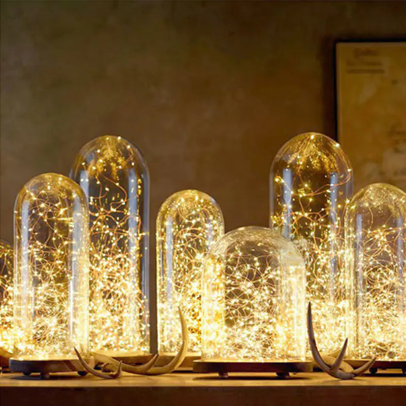 LED Bottle Cork Lights with Battery Box